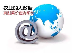 農(nóng)業(yè)信息革命 告別“現(xiàn)代社會原始人”，擁抱“真甜菜價(jià)查詢系統(tǒng)”的魔力